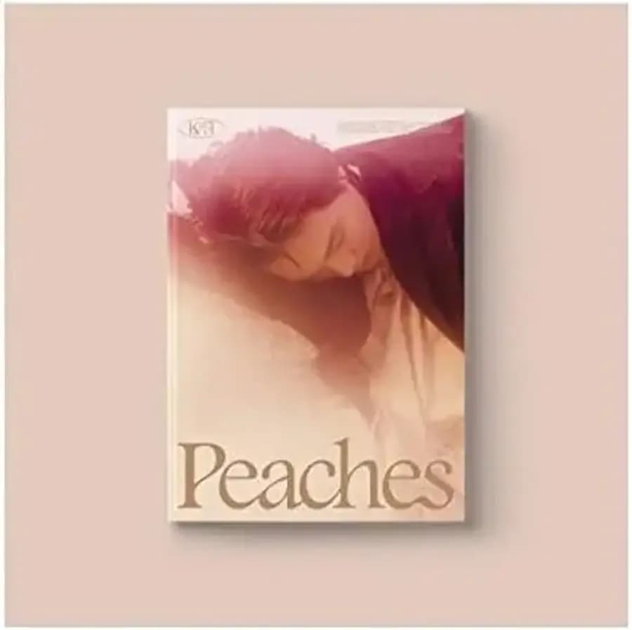 엑소 카이 피치스 두 번째 미니 앨범 CD 접이식 포스터 72p 포토북 포스트 카드 포토카드 메모리 필름