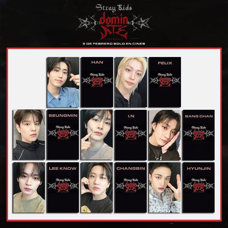 스트레이키즈 stray kids dominate 포카 포토카드