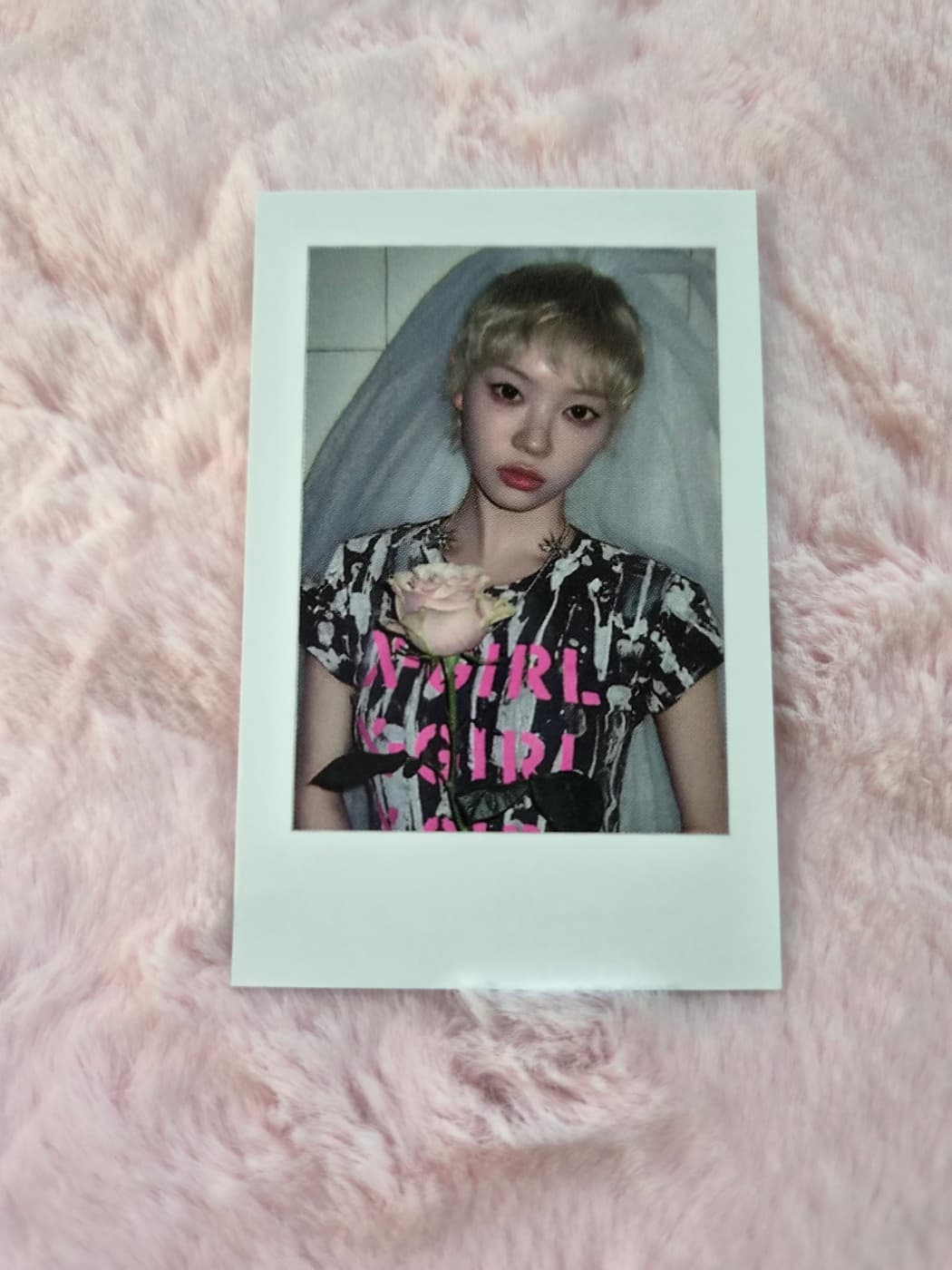 아일릿 illit 미니 4집 앨범 MAMIHLAPINATAPAI 마밀라피나타파이 제이제이뮤즈 특전 미공포 모카 포카 포토카드