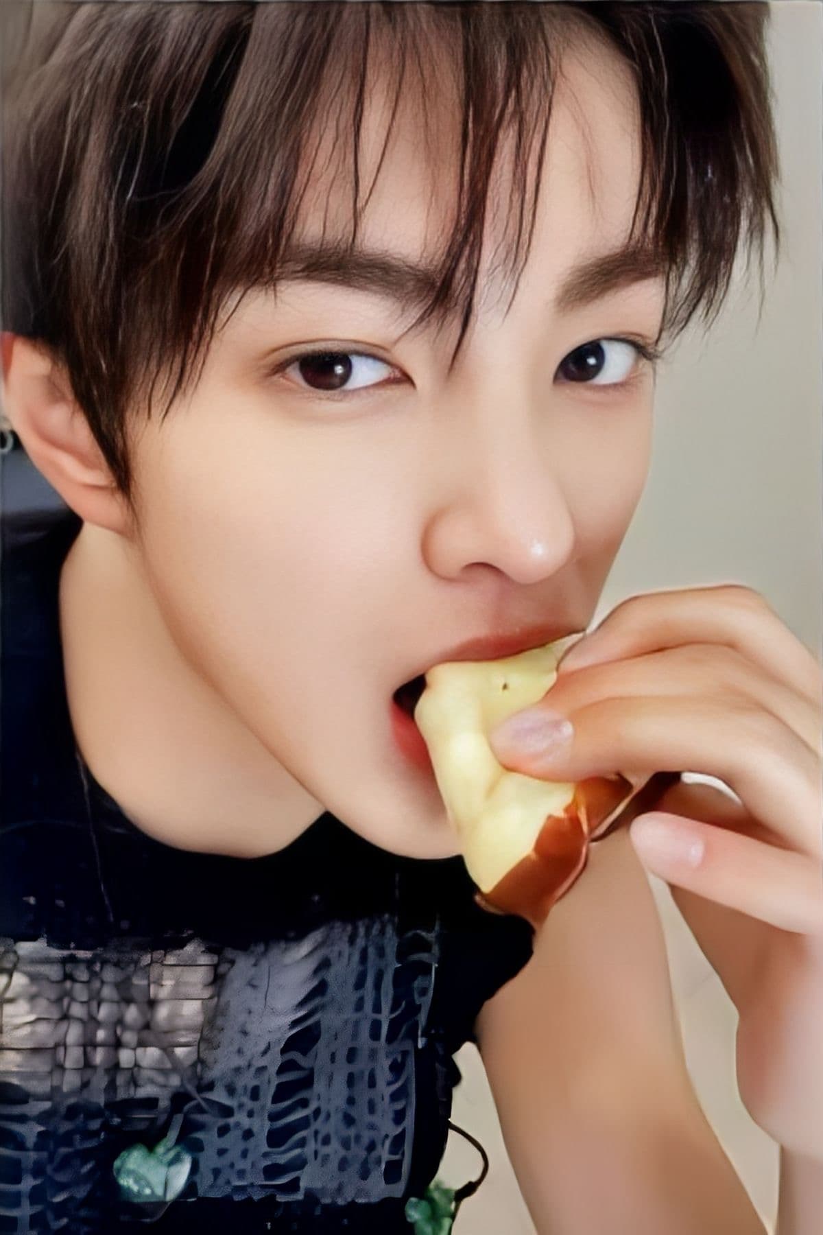 [WEVERSE JAPAN 특전] CORTIS 코르티스 건호 포카 위버스 재팬 럭드